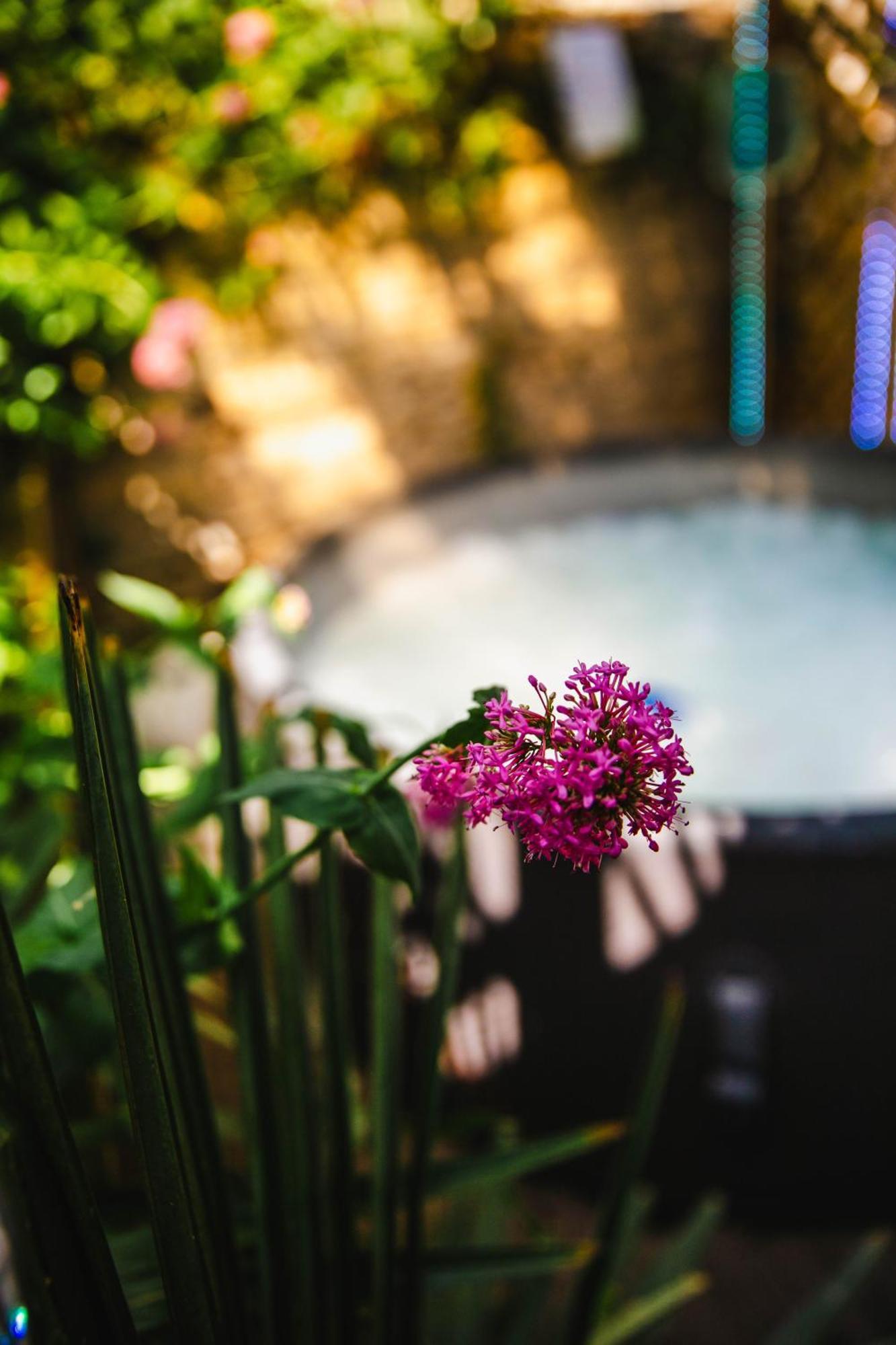 Appartement privé avec jacuzzi au coeur de Caen Exterior foto